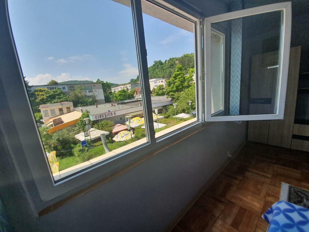 OrşovaApartament Denisアパートメント エクステリア 写真